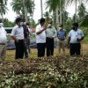 Inspection of Organic Fertilizer Production Projects 